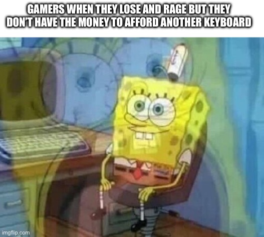 Internal screaming | GAMERS WHEN THEY LOSE AND RAGE BUT THEY DON’T HAVE THE MONEY TO AFFORD ANOTHER KEYBOARD | image tagged in internal screaming,gamers | made w/ Imgflip meme maker