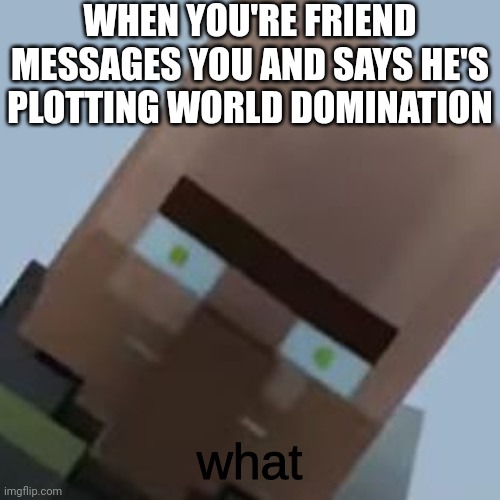 Don't worry he's just kidding | WHEN YOU'RE FRIEND MESSAGES YOU AND SAYS HE'S PLOTTING WORLD DOMINATION | image tagged in villager,memes,world domination,message,hold up | made w/ Imgflip meme maker