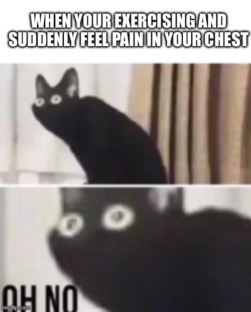 Who relates to this | WHEN YOUR EXERCISING AND SUDDENLY FEEL PAIN IN YOUR CHEST | image tagged in oh no cat | made w/ Imgflip meme maker