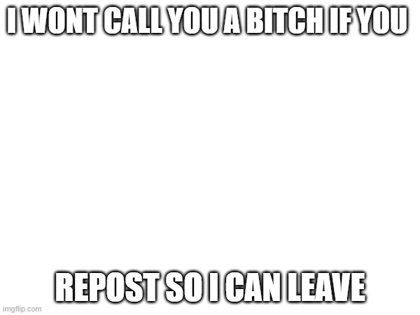 I WONT CALL YOU A BITCH IF YOU; REPOST SO I CAN LEAVE | made w/ Imgflip meme maker