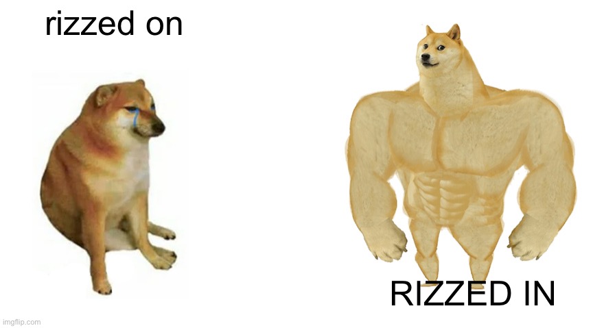 Rizz Doge | rizzed on; RIZZED IN | image tagged in swole doge vs cheems flipped,rizz,rizzler,rizzed in | made w/ Imgflip meme maker