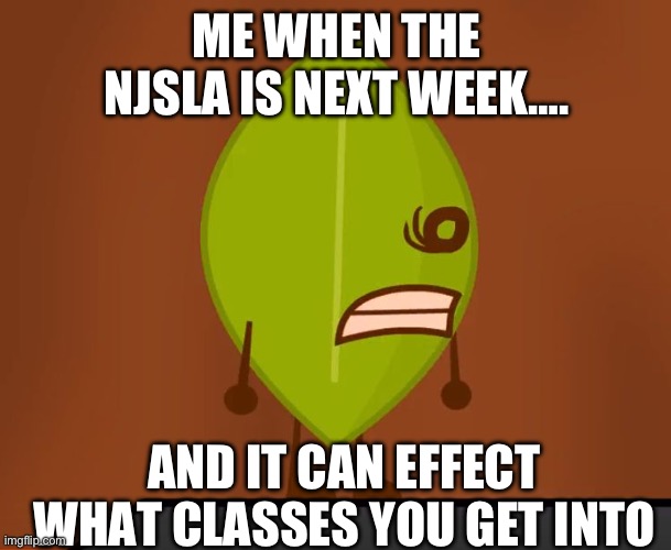 BFDI "Wat" Face | ME WHEN THE NJSLA IS NEXT WEEK…. AND IT CAN EFFECT WHAT CLASSES YOU GET INTO | image tagged in bfdi wat face | made w/ Imgflip meme maker