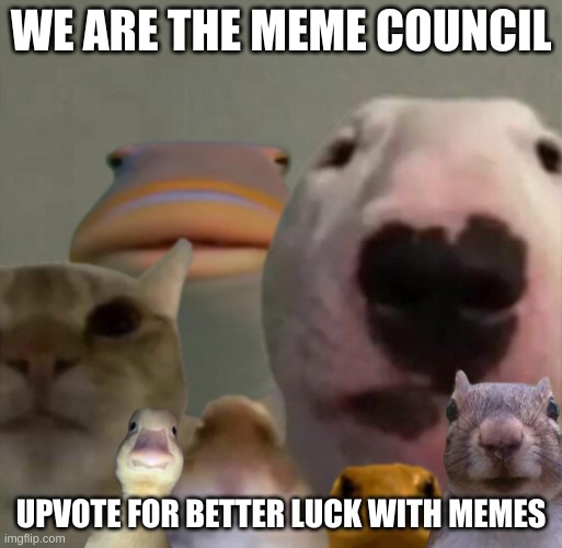 The council remastered | WE ARE THE MEME COUNCIL; UPVOTE FOR BETTER LUCK WITH MEMES | image tagged in the council remastered | made w/ Imgflip meme maker