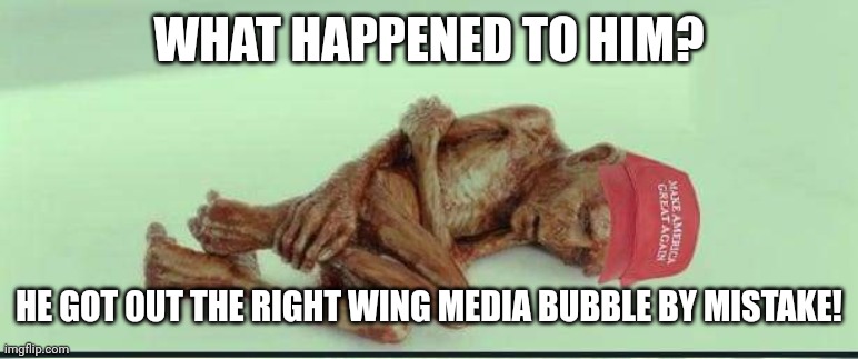 Magawhine | WHAT HAPPENED TO HIM? HE GOT OUT THE RIGHT WING MEDIA BUBBLE BY MISTAKE! | image tagged in conservative,republican,democrat,liberal,trump,biden | made w/ Imgflip meme maker