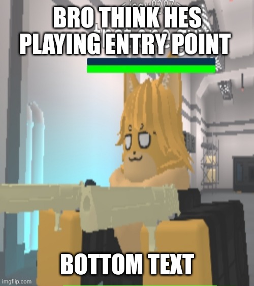 my first meme | BRO THINK HES PLAYING ENTRY POINT; BOTTOM TEXT | image tagged in memes,cats | made w/ Imgflip meme maker