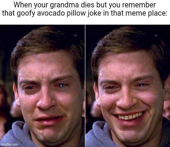 Peter Parker Sad Cry Happy cry | When your grandma dies but you remember that goofy avocado pillow joke in that meme place: | image tagged in peter parker sad cry happy cry | made w/ Imgflip meme maker