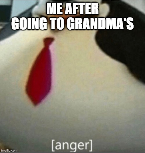 [anger] | ME AFTER GOING TO GRANDMA'S | image tagged in anger,penguin,animals | made w/ Imgflip meme maker