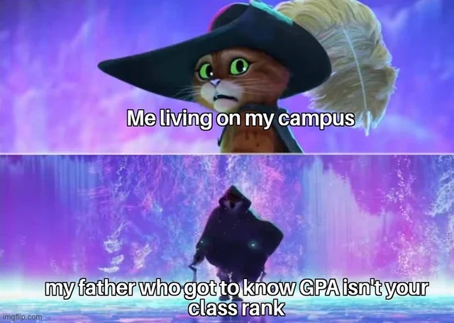 image tagged in memes | made w/ Imgflip meme maker