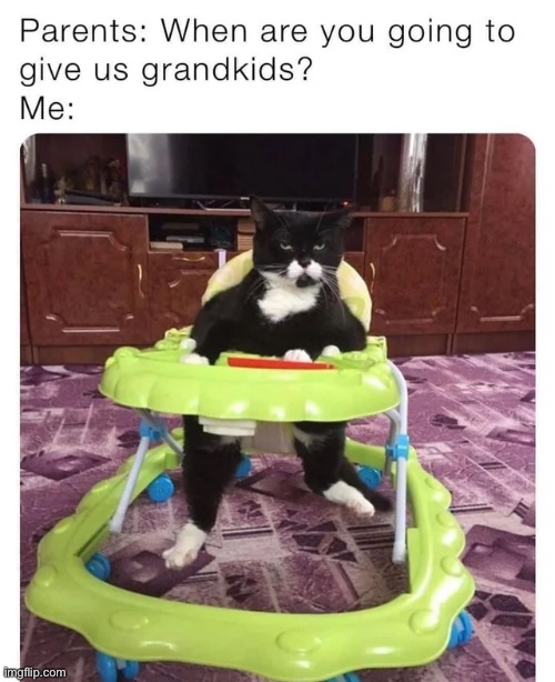 image tagged in memes | made w/ Imgflip meme maker