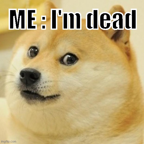 Doge Meme | ME : I'm dead | image tagged in memes,doge | made w/ Imgflip meme maker