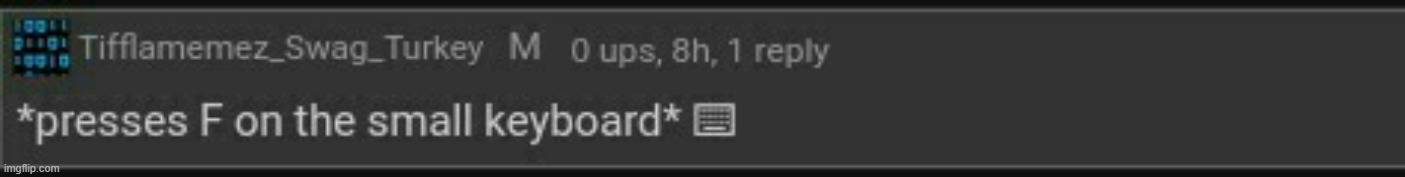 Presses F on the small keyboard | image tagged in presses f on the small keyboard | made w/ Imgflip meme maker