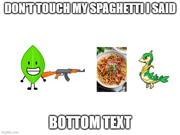 Blank White Template | DON'T TOUCH MY SPAGHETTI I SAID; BOTTOM TEXT | image tagged in blank white template | made w/ Imgflip meme maker