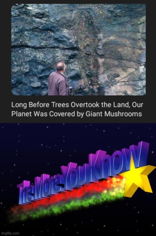By giant mushrooms | image tagged in the more you know,trees,mushrooms,mushroom,memes,planet | made w/ Imgflip meme maker