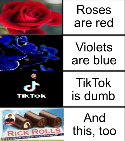 I’ve been rickrolled at least 91635103361 times by this image | Roses are red; Violets are blue; TikTok is dumb; And this, too | image tagged in roses are red | made w/ Imgflip meme maker