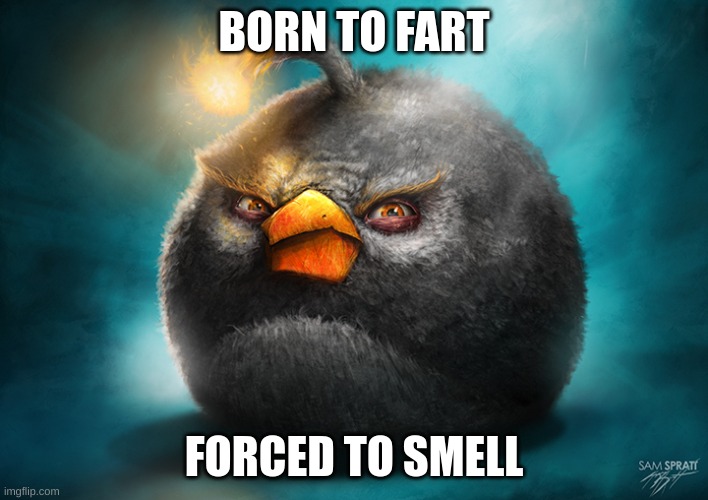 yes | BORN TO FART; FORCED TO SMELL | image tagged in realistic bomb angry bird | made w/ Imgflip meme maker