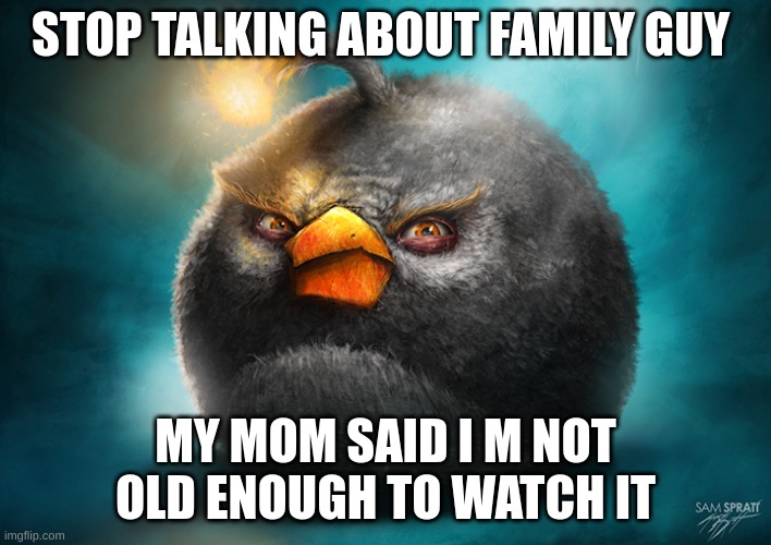 Realistic Bomb Angry Bird | STOP TALKING ABOUT FAMILY GUY; MY MOM SAID I M NOT OLD ENOUGH TO WATCH IT | image tagged in realistic bomb angry bird | made w/ Imgflip meme maker