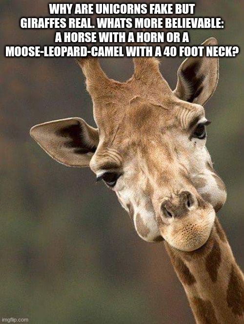Giriffe | WHY ARE UNICORNS FAKE BUT GIRAFFES REAL. WHATS MORE BELIEVABLE: A HORSE WITH A HORN OR A MOOSE-LEOPARD-CAMEL WITH A 40 FOOT NECK? | image tagged in giraffe | made w/ Imgflip meme maker