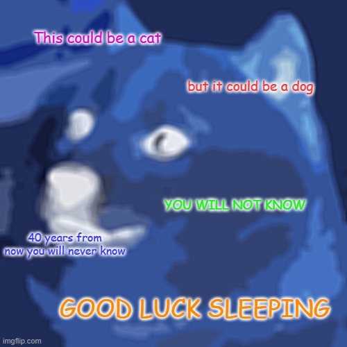 Never Sleeping | This could be a cat; but it could be a dog; YOU WILL NOT KNOW; 40 years from now you will never know; GOOD LUCK SLEEPING | image tagged in memes,doge,sleep | made w/ Imgflip meme maker