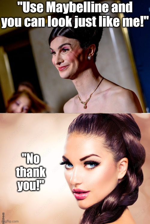 Once again liberals, just because you have a delusion, it does not mean we have to play along. Your boy Dylan is NOT a model | "Use Maybelline and you can look just like me!"; "No thank you!" | image tagged in beautiful woman with hair braid,gender,makeup,liberals,this is getting out of hand | made w/ Imgflip meme maker