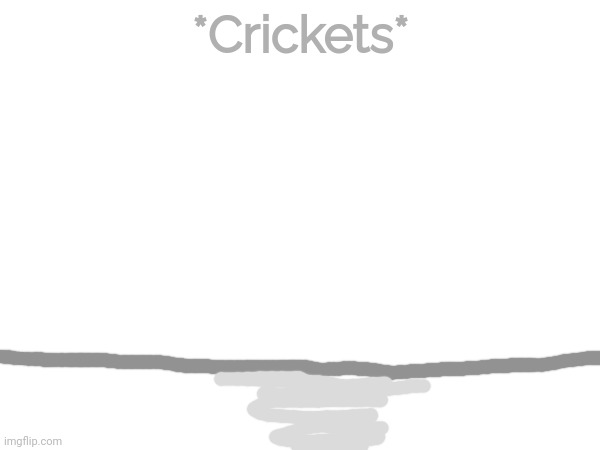 *Crickets* | made w/ Imgflip meme maker
