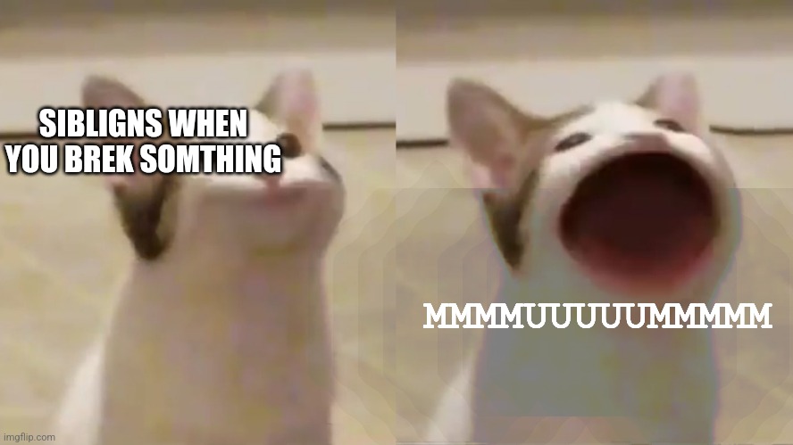My siblings when they get hurt | SIBLIGNS WHEN YOU BREK SOMTHING; MMMMUUUUUMMMMM | image tagged in my siblings when they get hurt | made w/ Imgflip meme maker