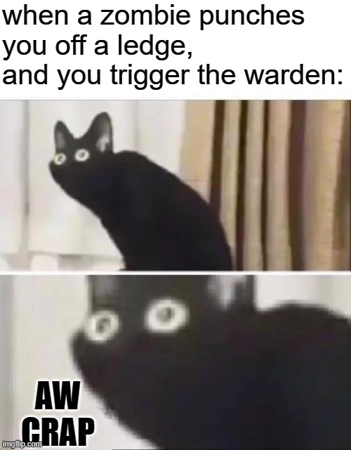 I've summoned the warden several times, and a third of those times weren't really *my fault* X_X | when a zombie punches you off a ledge, and you trigger the warden:; AW CRAP | image tagged in oh no black cat | made w/ Imgflip meme maker
