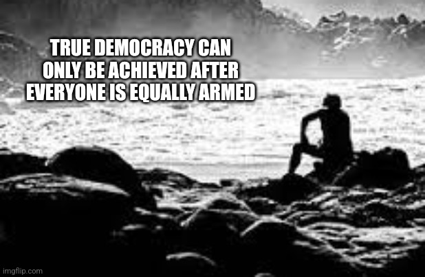 TRUE DEMOCRACY CAN ONLY BE ACHIEVED AFTER EVERYONE IS EQUALLY ARMED | image tagged in funny memes | made w/ Imgflip meme maker