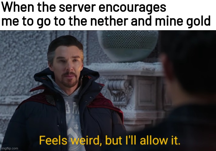 Feels Weird, but I'll Allow It. | When the server encourages me to go to the nether and mine gold | image tagged in feels weird but i'll allow it,mincraft,minecraft | made w/ Imgflip meme maker
