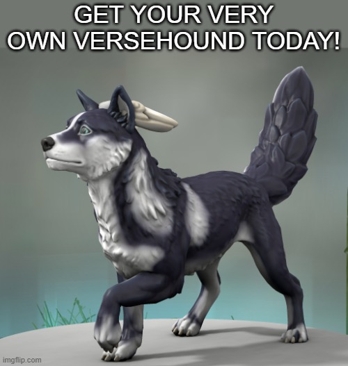 A new species I invented. Details in the comments. | GET YOUR VERY OWN VERSEHOUND TODAY! | made w/ Imgflip meme maker