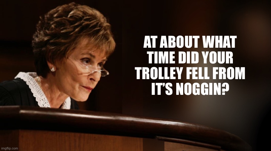 Trolley of its Noggin | AT ABOUT WHAT TIME DID YOUR TROLLEY FELL FROM
IT’S NOGGIN? | image tagged in judge judy,judge judy trolley,crazy,insane,say what | made w/ Imgflip meme maker