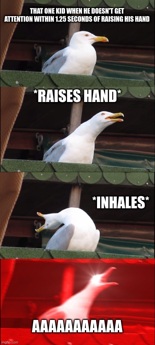 Inhaling Seagull Meme | THAT ONE KID WHEN HE DOESN'T GET ATTENTION WITHIN 1.25 SECONDS OF RAISING HIS HAND; *RAISES HAND*; *INHALES*; AAAAAAAAAAA | image tagged in memes,inhaling seagull | made w/ Imgflip meme maker