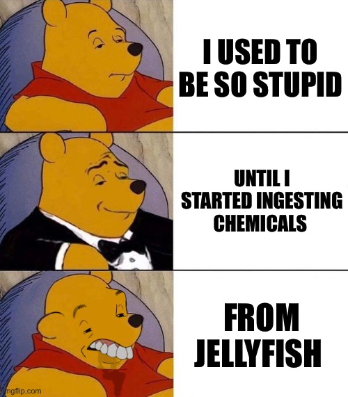 Best,Better, Blurst | I USED TO BE SO STUPID; UNTIL I STARTED INGESTING CHEMICALS; FROM JELLYFISH | image tagged in best better blurst | made w/ Imgflip meme maker