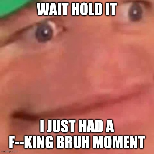 Wait Hol Up | WAIT HOLD IT I JUST HAD A F--KING BRUH MOMENT | image tagged in wait hol up | made w/ Imgflip meme maker