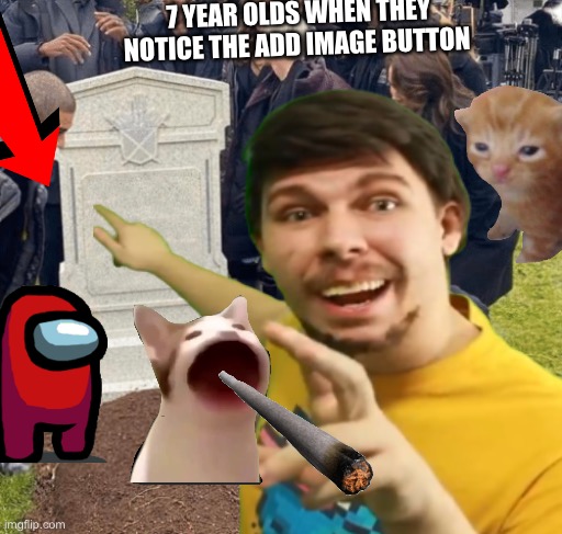 NO WAY | 7 YEAR OLDS WHEN THEY NOTICE THE ADD IMAGE BUTTON | image tagged in fun,memes | made w/ Imgflip meme maker