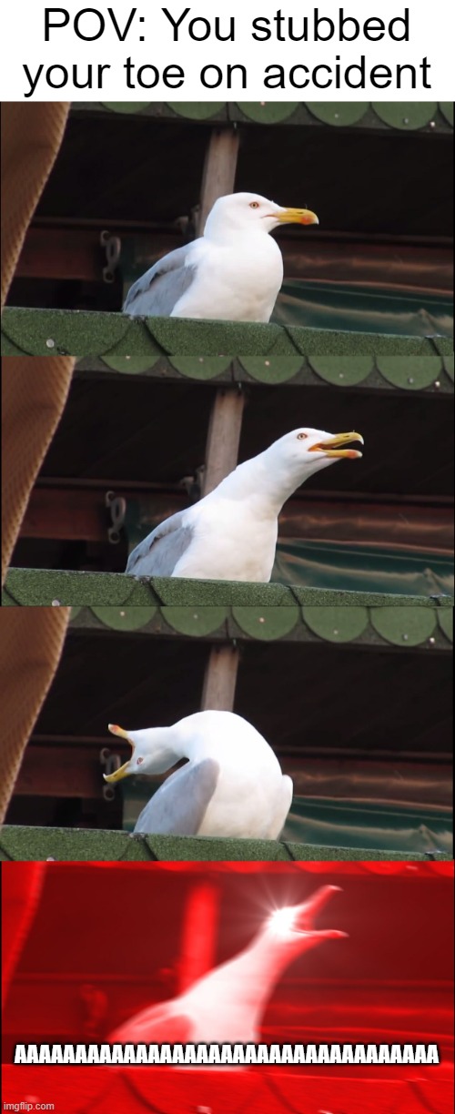 If this has happened to you then you know the pain. | POV: You stubbed your toe on accident; AAAAAAAAAAAAAAAAAAAAAAAAAAAAAAAAAAA | image tagged in memes,inhaling seagull,pain,relatable | made w/ Imgflip meme maker