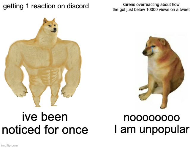 twitter man | getting 1 reaction on discord; karens overreacting about how the got just below 10000 views on a tweet; ive been noticed for once; noooooooo I am unpopular | image tagged in memes,buff doge vs cheems | made w/ Imgflip meme maker