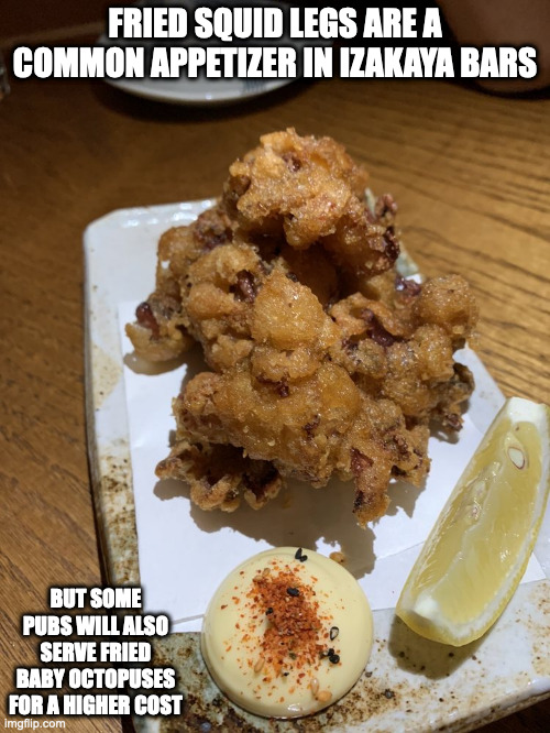 Fried Baby Octopus | FRIED SQUID LEGS ARE A COMMON APPETIZER IN IZAKAYA BARS; BUT SOME PUBS WILL ALSO SERVE FRIED BABY OCTOPUSES FOR A HIGHER COST | image tagged in food,memes | made w/ Imgflip meme maker