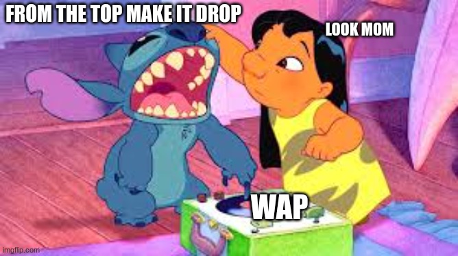 Wap | FROM THE TOP MAKE IT DROP; LOOK MOM; WAP | image tagged in idk | made w/ Imgflip meme maker