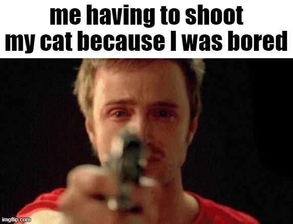 They say curiosity killed the cat when in reality, it was my boredom | me having to shoot my cat because I was bored | image tagged in jesse pinkman pointing gun | made w/ Imgflip meme maker