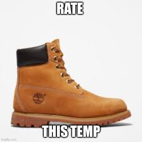 ima  make yall rate all my temps | RATE; THIS TEMP | image tagged in tim | made w/ Imgflip meme maker