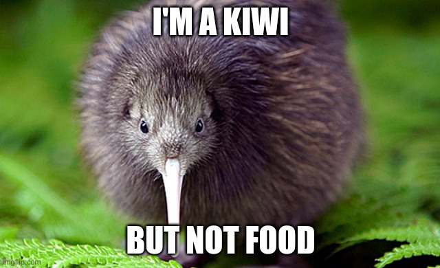 kiwi | I'M A KIWI; BUT NOT FOOD | image tagged in kiwi | made w/ Imgflip meme maker