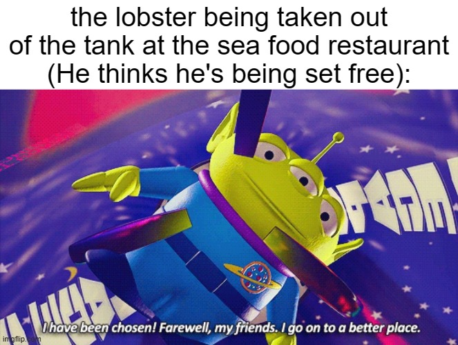 The Claw | the lobster being taken out of the tank at the sea food restaurant (He thinks he's being set free): | image tagged in the claw | made w/ Imgflip meme maker