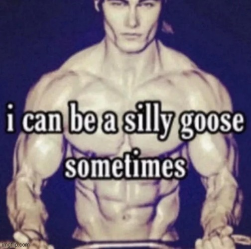 i can be a silly goose sometimes | image tagged in i can be a silly goose sometimes | made w/ Imgflip meme maker