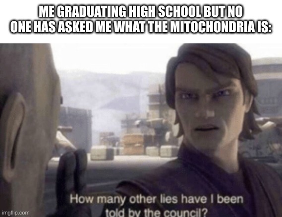 anankin | ME GRADUATING HIGH SCHOOL BUT NO ONE HAS ASKED ME WHAT THE MITOCHONDRIA IS: | image tagged in how many other lies have i been told by the council,memes | made w/ Imgflip meme maker