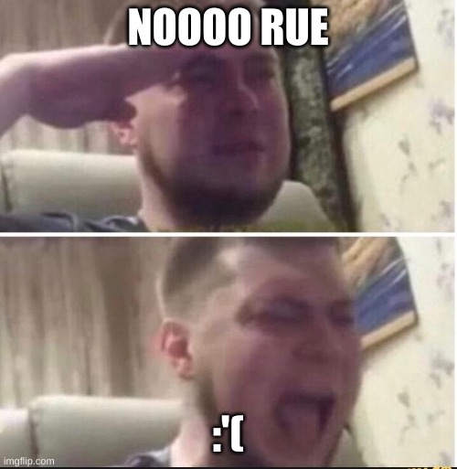Crying salute | NOOOO RUE :'( | image tagged in crying salute | made w/ Imgflip meme maker