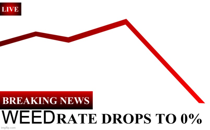 ____ Rate Drops To 0% | WEED | image tagged in ____ rate drops to 0 | made w/ Imgflip meme maker