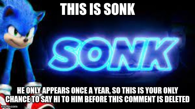 sonk | THIS IS SONK HE ONLY APPEARS ONCE A YEAR, SO THIS IS YOUR ONLY CHANCE TO SAY HI TO HIM BEFORE THIS COMMENT IS DELETED | image tagged in sonk | made w/ Imgflip meme maker