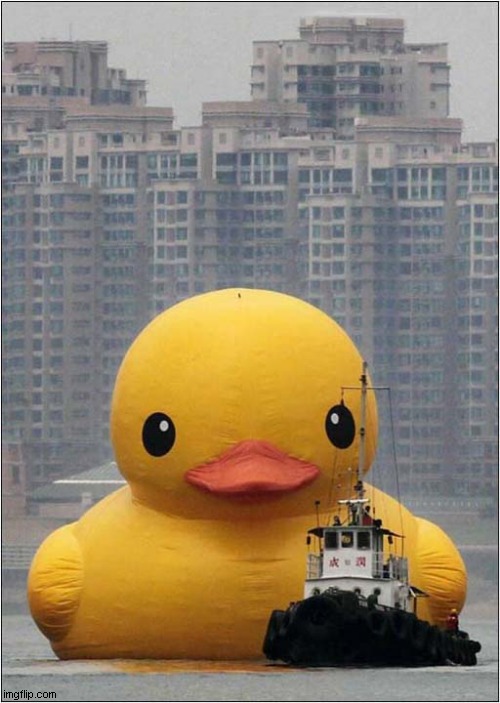 It's Behind Us, Isn't It ? | image tagged in giant,duck,tug,behind you | made w/ Imgflip meme maker
