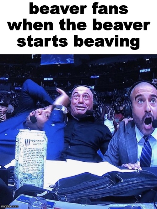 UFC flip out | beaver fans when the beaver starts beaving | made w/ Imgflip meme maker