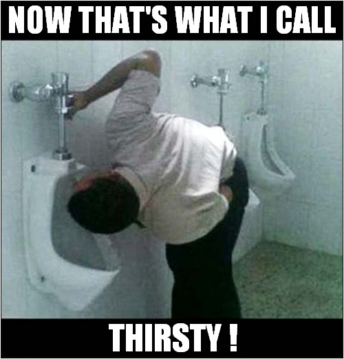 Tasty Toilet Water Anyone ? | NOW THAT'S WHAT I CALL; THIRSTY ! | image tagged in now thats what i call,tasty,toilet,water,dark humour | made w/ Imgflip meme maker